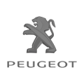 EnnoCar Hybrid Battery for Peugeot